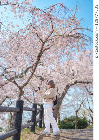 Woman tourist sightseeing Sakura Cherry Blossom in Spring. Happy traveler travel at Saigyo Modoshi no Matsu over Matsushima Bay in Matsushima, Miyagi Prefecture, Japan. Famous Landmark and Vacation Woman tourist sightseeing Sakura Cherry Blossom in Spring. Happy traveler travel at Saigyo Modoshi no Matsu over Matsushima Bay in Matsushima, Miyagi Prefecture, Japan. Famous Landmark and Vacation 128777335