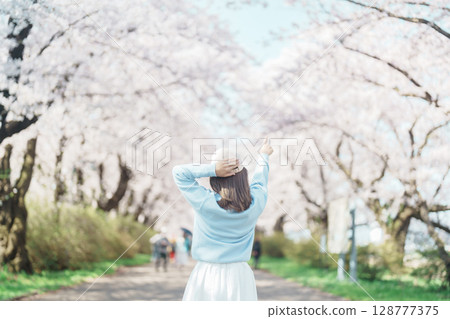 Woman tourist sightseeing Kitakami Tenshochi Park with Sakura Cherry Blossom in Spring, traveler travel in Kitakami festival, Iwate prefecture, Japan. Landmark for Travel and Vacation destination 128777375