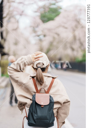 Woman tourist sightseeing Sakura Cherry Blossom in Spring. Happy traveler travel in Samurai village or Little Kyoto in Kakunodate town, Semboku District, Akita Prefecture, Japan. Landmark and Vacation 128777391