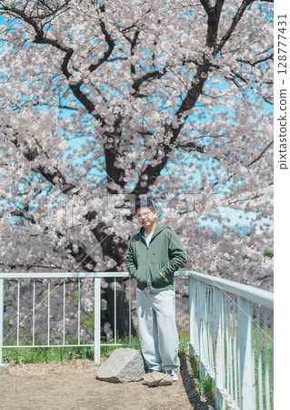 man tourist sightseeing Sakura Cherry blossom at Morioka Castle Ruins park in Spring, happy traveler travel in Iwate Park, Iwate prefecture, Japan. famous Landmark Travel and Vacation destination man tourist sightseeing Sakura Cherry blossom at Morioka Castle Ruins park in Spring, happy traveler travel in Iwate Park, Iwate prefecture, Japan. famous Landmark Travel and Vacation destination 128777431