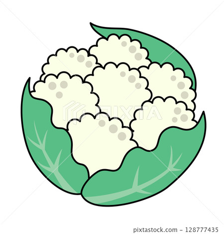 花椰菜圖標 花椰菜圖標 128777435