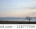 日落前的湖面天空和樹木 128777500