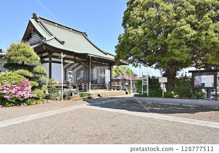 寺廟與神社 - 埼玉縣春日部市波泰市聖福寺 128777511