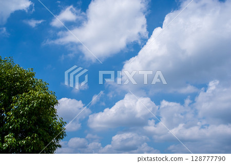 A fresh summer blue sky A fresh summer blue sky 128777790