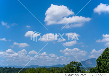 A fresh summer blue sky 128777795