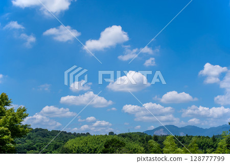 A fresh summer blue sky 128777799