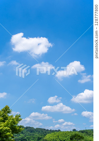 A fresh summer blue sky 128777800