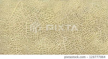 利用照片和人工智慧技術創造瓜類表面的圖案 128777864