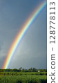 Rainbow  128778113