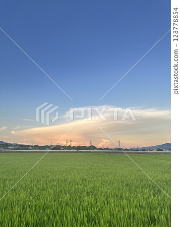 鄉村裡偶然的日落 鄉村裡偶然的日落 128778854