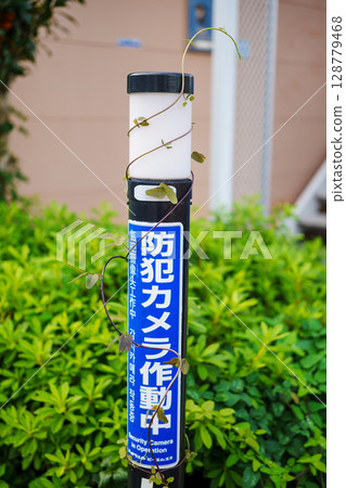 路邊爬滿常春藤的路燈 128779468