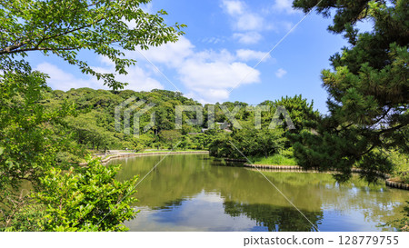 Summer at Sankeien Garden 128779755