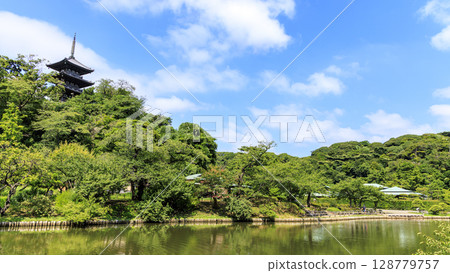 Summer at Sankeien Garden Summer at Sankeien Garden 128779757