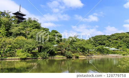 Summer at Sankeien Garden Summer at Sankeien Garden 128779758
