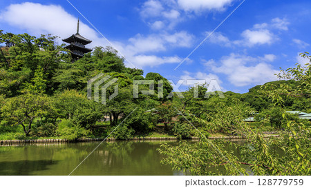 Summer at Sankeien Garden Summer at Sankeien Garden 128779759