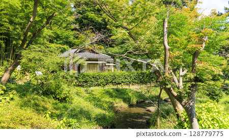 三溪園的夏天 128779775