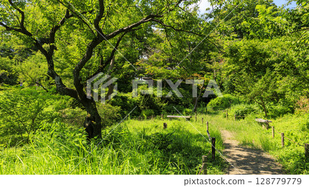 三溪園的夏天 128779779