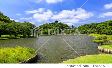 Summer at Sankeien Garden 128779790