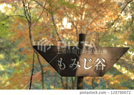 茨城縣小町山登山步道上的紅葉谷，正值秋葉最盛期 128780072