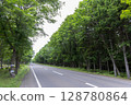 Hokkaido National Route 276 passing through a forest of fresh greenery 128780864