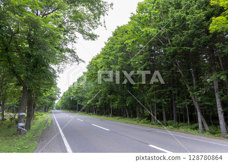 Hokkaido National Route 276 passing through a forest of fresh greenery 128780864