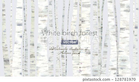 Watercolor illustration of a birch forest. Quiet autumn/winter forest image background. (Vector.) Watercolor illustration of a birch forest. Quiet autumn/winter forest image background. (Vector.) 128781970