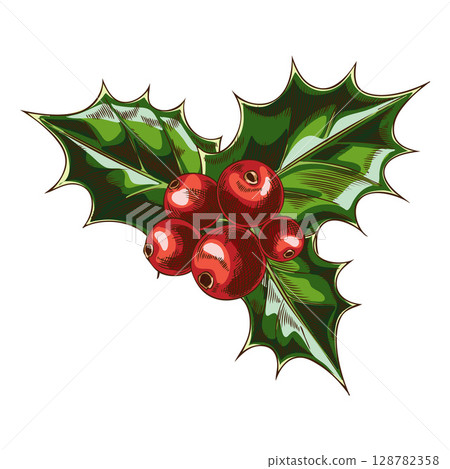 Watercolor sketch of holly branch with leaves and berries, hand drawn. Watercolor sketch of holly branch with leaves and berries, hand drawn. 128782358