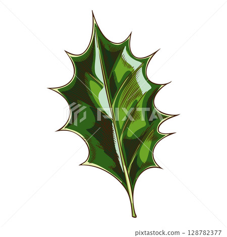 Vector sketch of holly leaf icon in color, hand drawn. 128782377