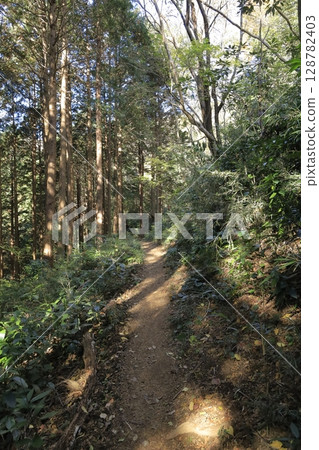 茨城縣小町山的健行路線 128782403