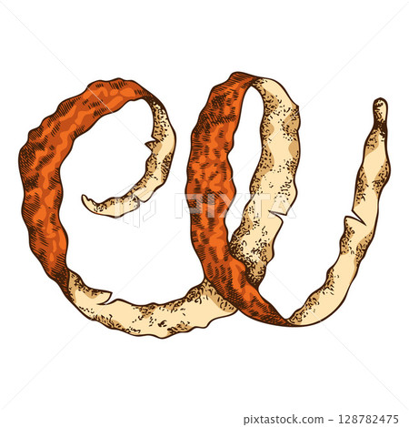 Vector illustration of orange peel curved into spiral, hand drawn sketch in color. 128782475
