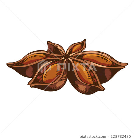 Hand drawn watercolor illustration of star anise. Icon. 128782480