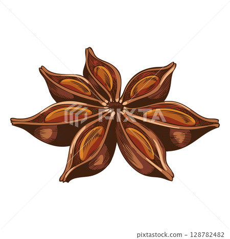 Anise star sketch vector icon, hand drawn aromatic spice plant, dry flavor condiment, mulled wine ingredient Anise star sketch vector icon, hand drawn aromatic spice plant, dry flavor condiment, mulled wine ingredient 128782482