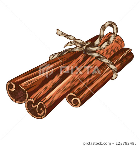 Vector, watercolor sketch of cinnamon stick tied with a rope. Vector, watercolor sketch of cinnamon stick tied with a rope. 128782483