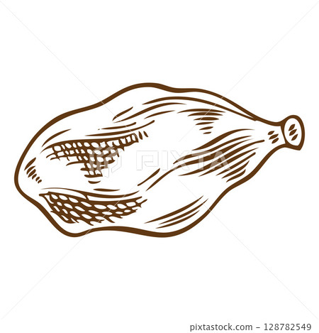 Cardamom, monochrome hand drawn vector illustration. 128782549