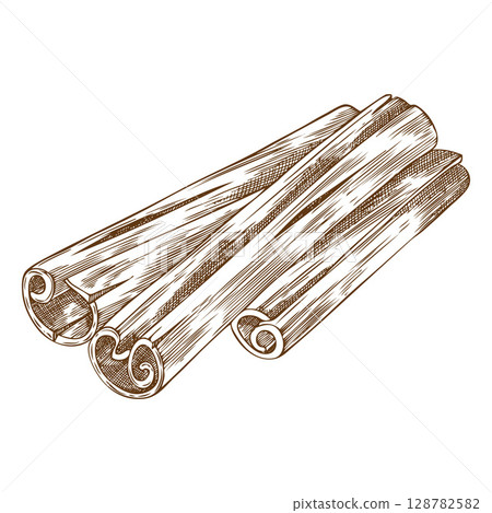 Cinnamon sticks in monochrome vector sketch, hand drawn. 128782582