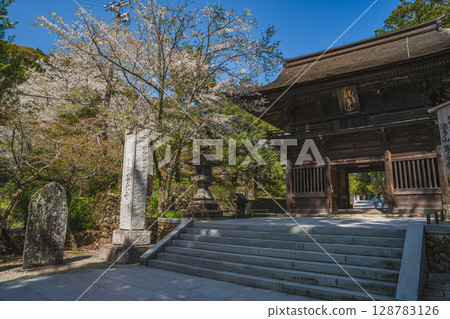 Scenery of the approach to Hattasan Son'eiji Temple in Fukuroi City (Shizuoka Prefecture) 128783126