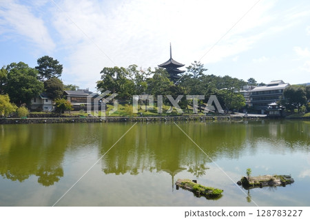 奈良·Sarusawa池塘 奈良·Sarusawa池塘 128783227