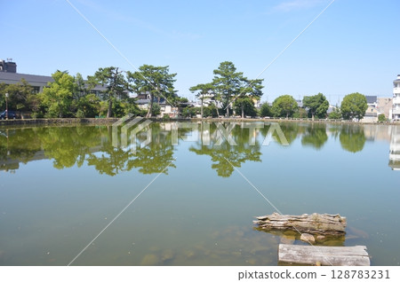 奈良·Sarusawa池塘 128783231