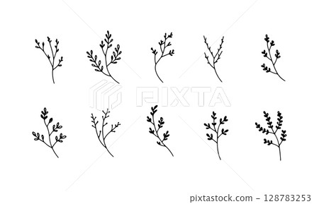 Botanical Branch Set. A set of hand-drawn natural branches with thin leaves and graceful lines, ideal for stationery, packaging, or subtle eco designs. 128783253