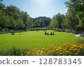 a vibrant urban park with families relaxing on the grass, surrounded by trees, flowers, and modern seating areas 128783345