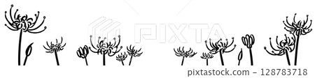 Hand-drawn illustration of a red spider lily field, black line drawing 128783718