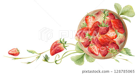 Strawberry full and half cut served on ceramic dish with leaves tendrils, ripe picked garden berry strasberry harvest. Isolated illustration hand drawn in watercolor. Dessert cafe menu, farmers market Strawberry full and half cut served on ceramic dish with leaves tendrils, ripe picked garden berry strasberry harvest. Isolated illustration hand drawn in watercolor. Dessert cafe menu, farmers market 128785065