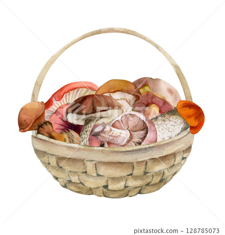 Basket full of picked mushrooms, autumn forest harvest of bolete russula webcap milk-cap fungi, vegan cooking edible raw ingredient. Illustration hand drawn in watercolor. Seasonal menu recipe cards 128785073