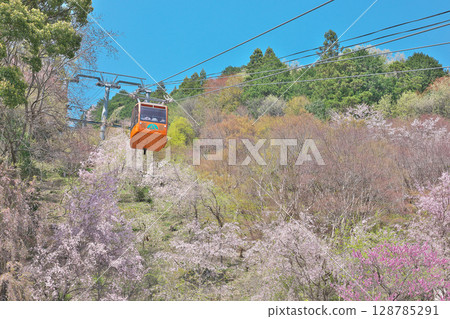 [橋倉山纜車] 德島縣三好市池田町鈴倉屋 128785291