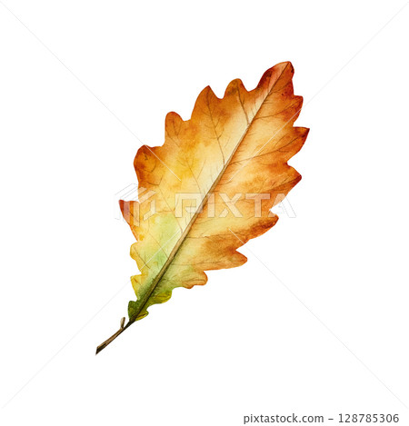 Watercolor oak leaf in warm autumn tones. Botanical hand drawn idolated illustration ideal for seasonal, forest, or nature-themed designs. Rustic foliage perfect for fall decor, woodland, or organic Watercolor oak leaf in warm autumn tones. Botanical hand drawn idolated illustration ideal for seasonal, forest, or nature-themed designs. Rustic foliage perfect for fall decor, woodland, or organic 128785306
