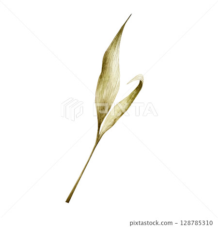 Watercolor leaf in warm autumn tones. Botanical hand drawn illustration isolated on background. Ideal for seasonal, halloween, forest, or nature-themed designs. Rustic foliage perfect for fall decor 128785310