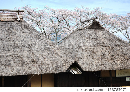 Sakurabuchi公園 Sakurabuchi公園 128785671