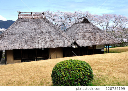 Sakurabuchi Park Sakurabuchi Park 128786199