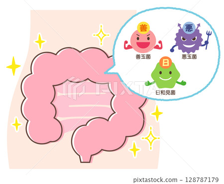 腸道環境:有益菌、有害菌、機會性細菌、健康腸道 腸道環境:有益菌、有害菌、機會性細菌、健康腸道 128787179