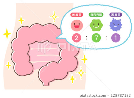Intestinal environment: Good bacteria, bad bacteria, opportunistic bacteria, healthy intestines Intestinal environment: Good bacteria, bad bacteria, opportunistic bacteria, healthy intestines 128787182